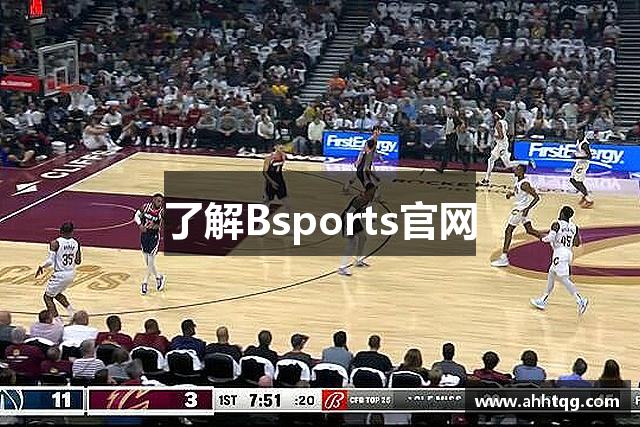 了解Bsports官网